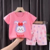 2026 Summer New Pure cotton children's short-sleeved T-shirt Set, Korean-style infant and toddler short-sleeved and short-shorts two-piece set Application Scenario